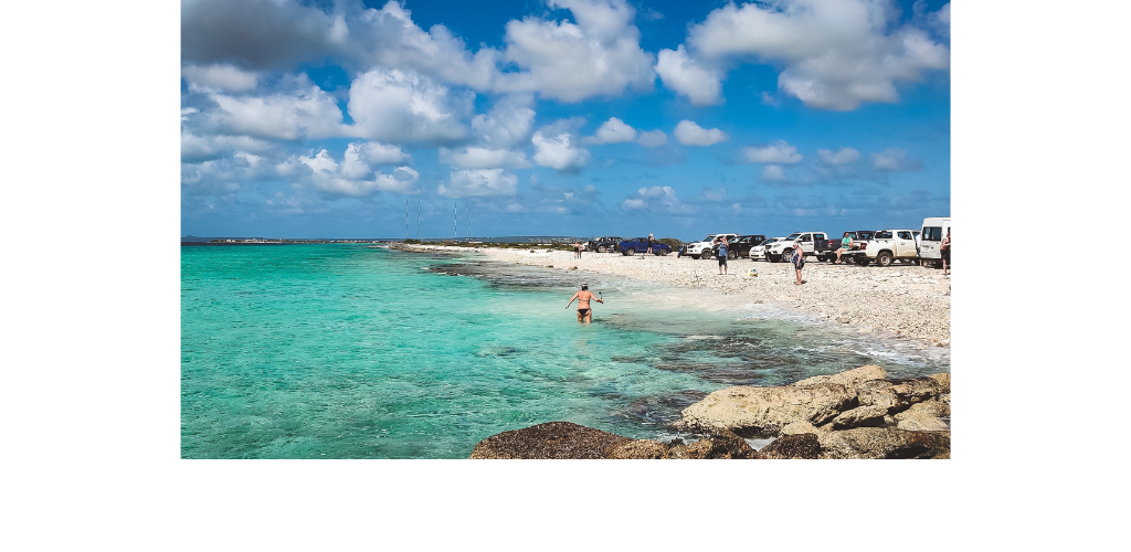Discover the Top 5 Tourist Attractions in Bonaire
