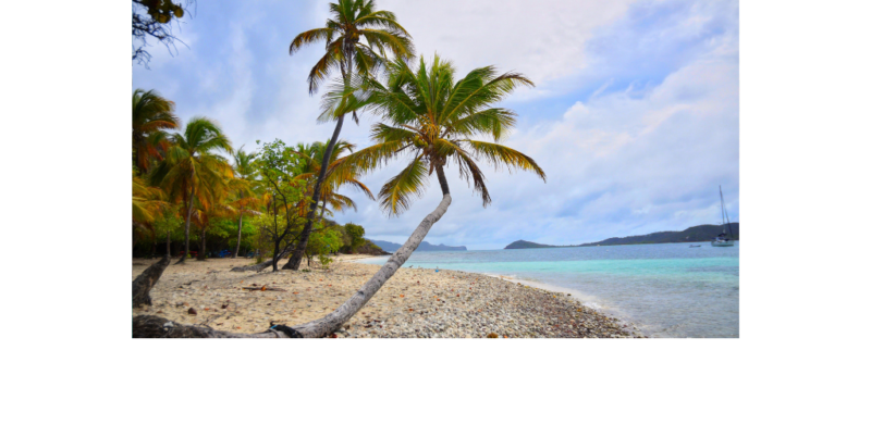 Revealing the Top 5 Beaches in St. Vincent & The Grenadines